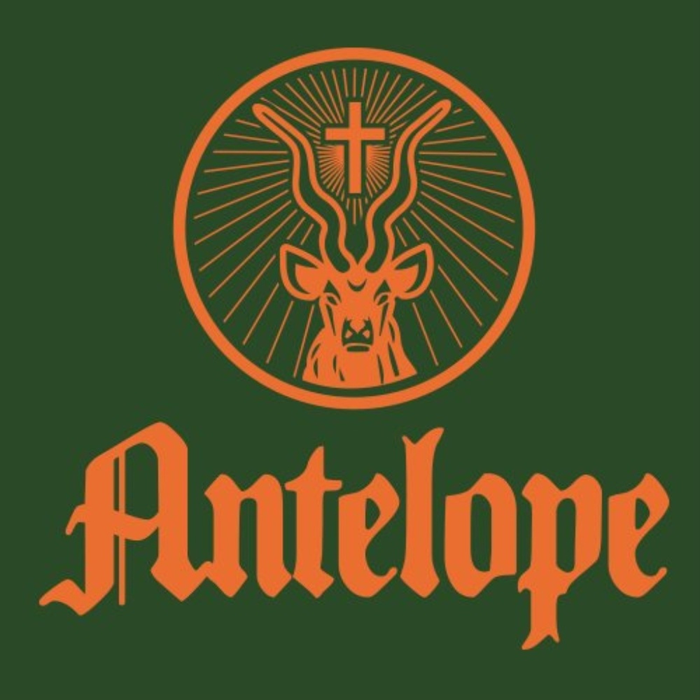 Phish antelope lot style shakedown shirt